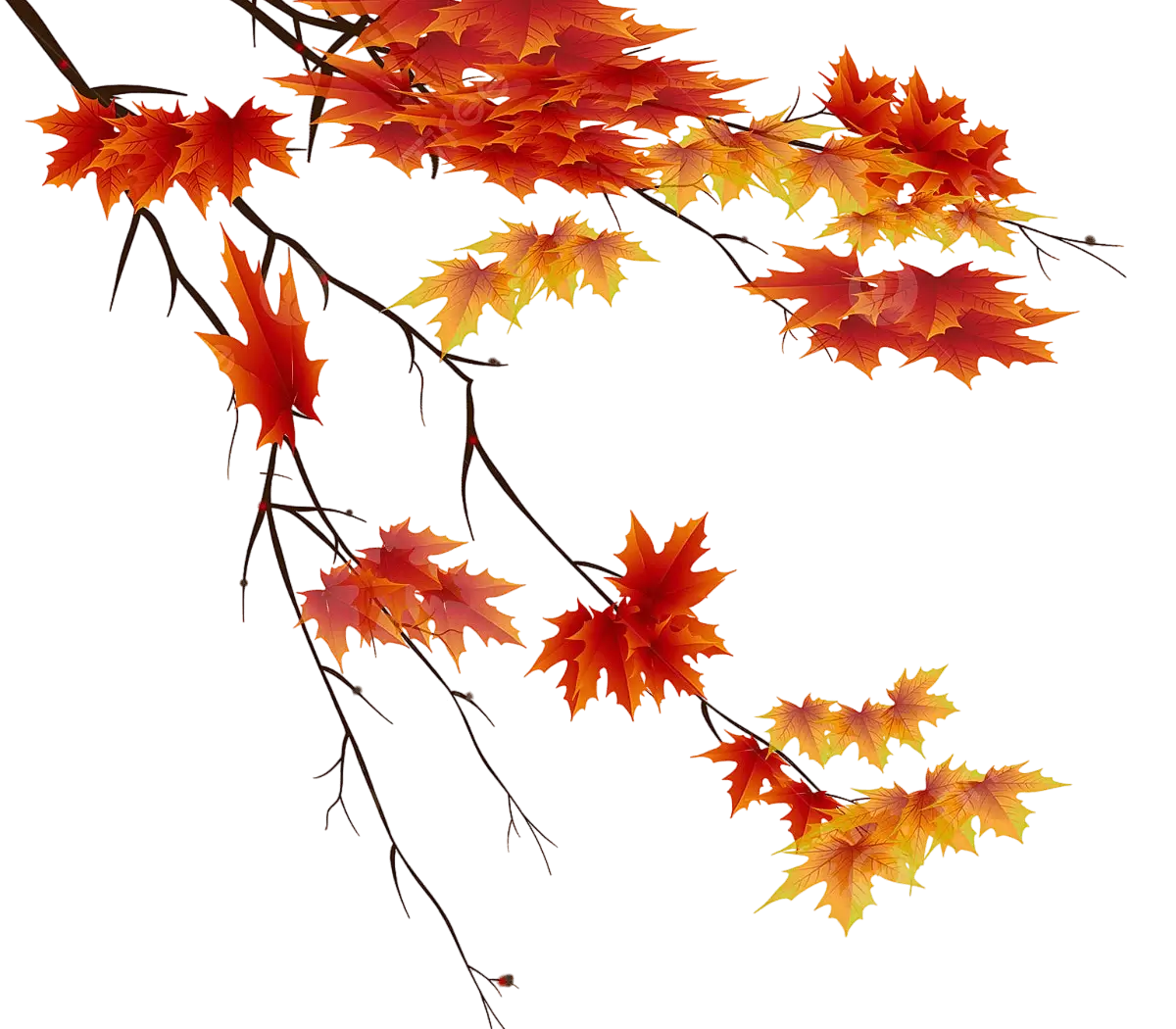 tree-11
